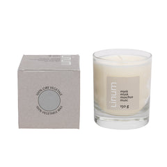 Candle